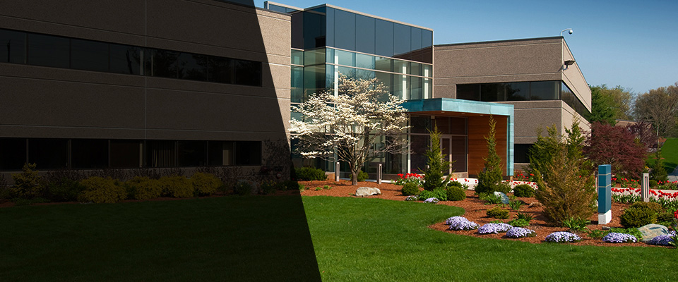 Faribault Landscapers