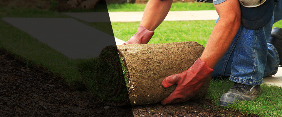 Faribault Landscapers